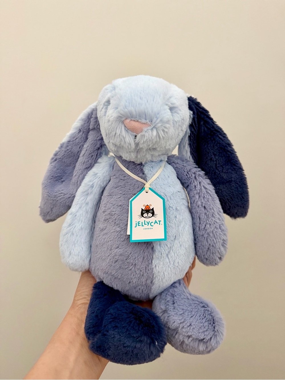 🐰💙𝐀𝐮𝐭𝐡𝐞𝐧𝐭𝐢𝐜 𝐉𝐞𝐥𝐥𝐲𝐜𝐚𝐭 𝐏𝐮𝐝𝐝𝐥𝐞𝐬𝐞𝐚 𝐁𝐮𝐧𝐧𝐲 💙🐰 - Picture 2 of 6